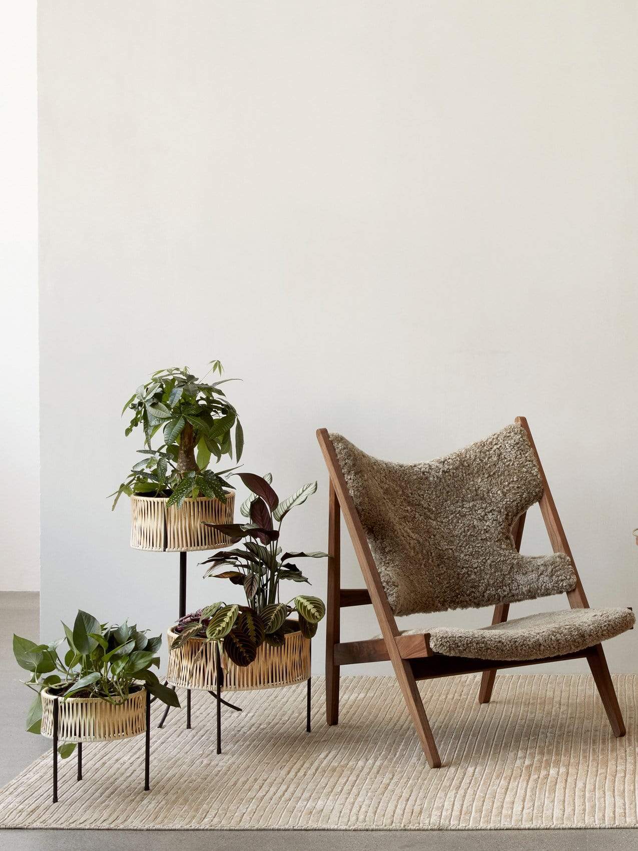 4 Pot Tanaman Hias Ini Dirancang Desainer Ternama Lho!