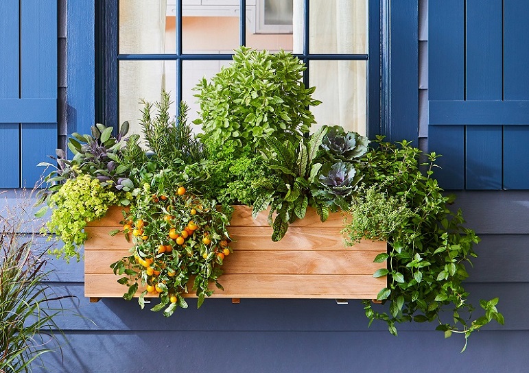 10 Ide Memajang Bunga Hias di Window Box CASA Indonesia