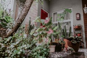 Dijamin Cantik! Tips Taman Minimalis Untuk Rumah Anda