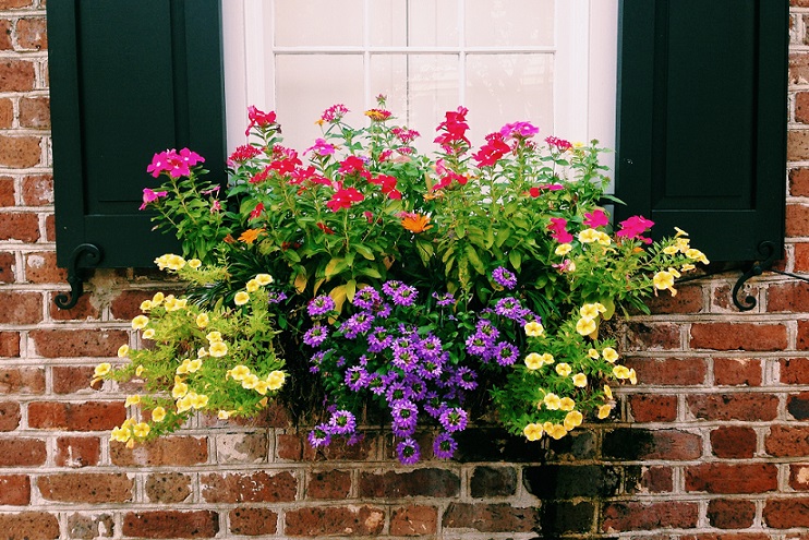 10 Ide Memajang Bunga Hias di Window Box CASA Indonesia