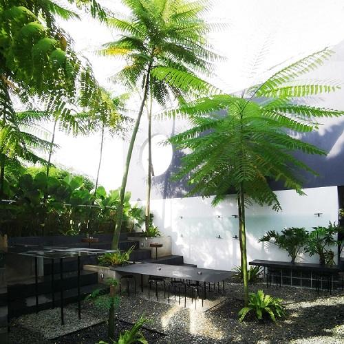 Ruang Kreatif Bernuansa Alam di Jakarta Barat