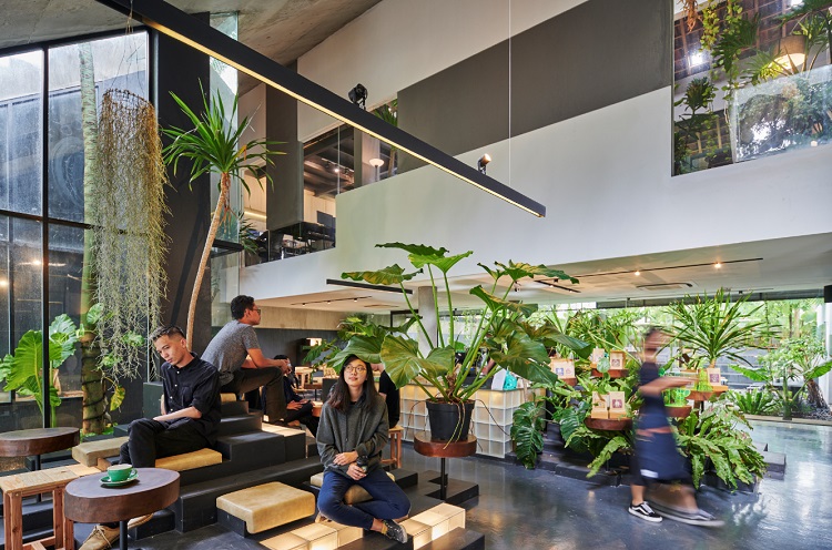 Ruang Kreatif Bernuansa Alam di Jakarta Barat