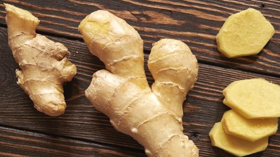 6 Tanaman Toga Penuh Manfaat, Bisa Ditanam di Rumah! CASA Indonesia