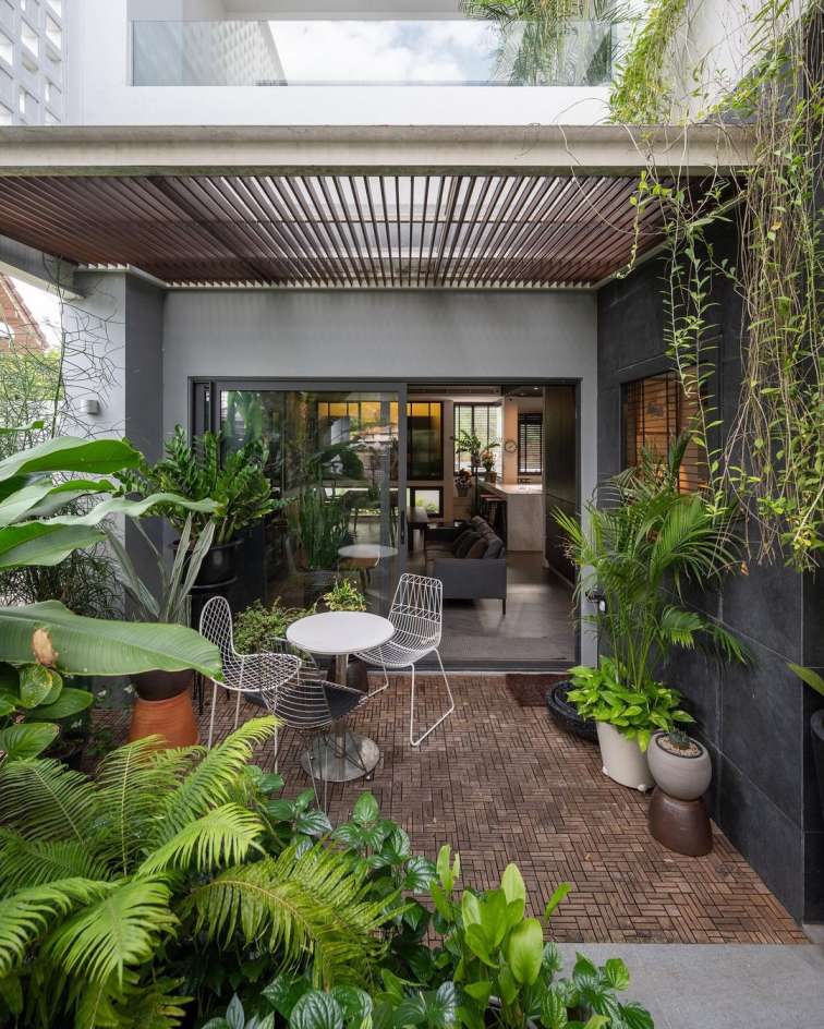 11 Jenis Tanaman Toga Dan Manfaatnya untuk Kesehatan