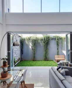 10 Tanaman Rambat Ini Cocok Untuk Menghias Teras Rumah