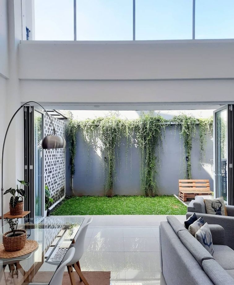 10 Tanaman Rambat Ini Cocok Untuk Menghias Teras Rumah