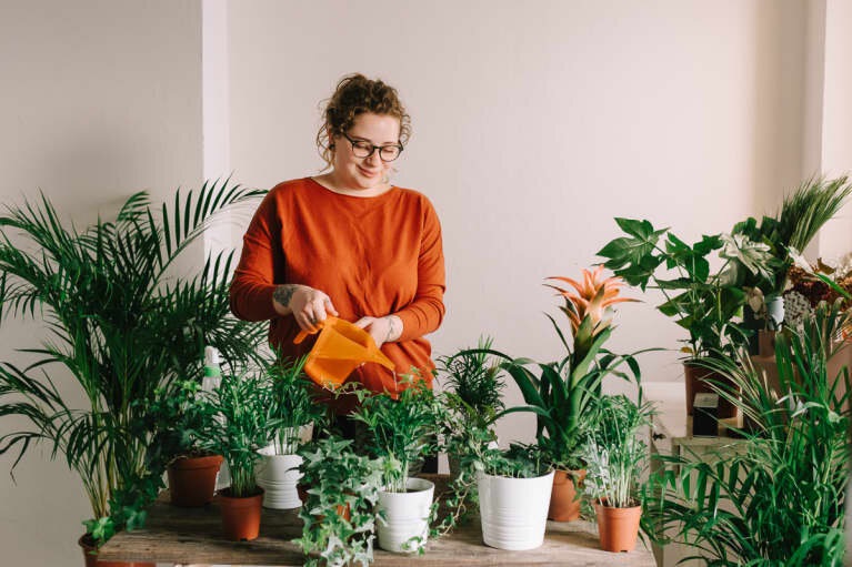 Cara Mudah Merawat Tanaman Keladi CASA Indonesia