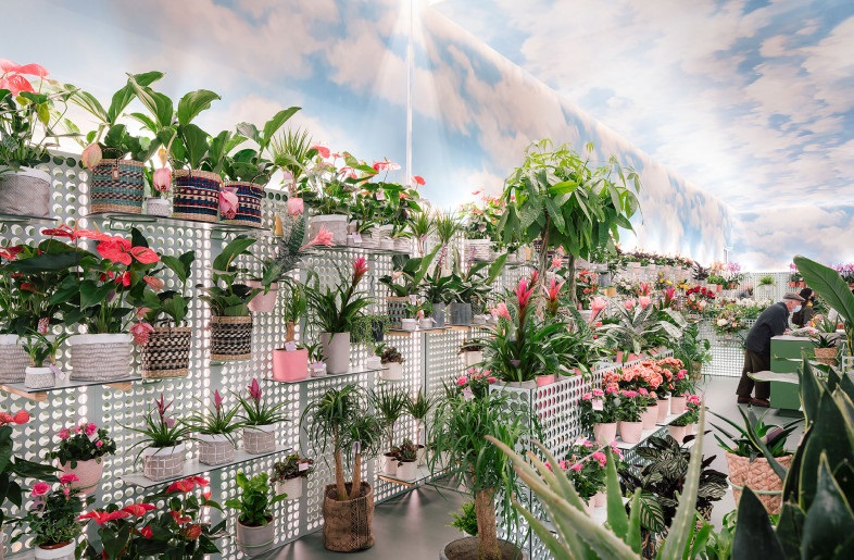 Seperti di Mimpi, Toko Bunga Ini Punya Atap Langit CASA Indonesia