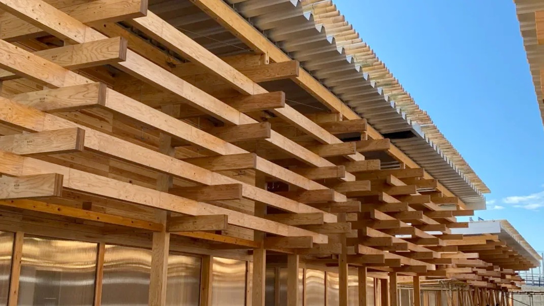 Wow! 63 Tipe Kayu Lokal Jepang Di Fasilitas Atlet Olimpiade