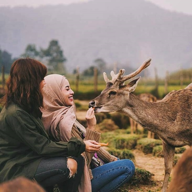 10 Wisata Anak di Bandung yang Asyik dan Edukatif CASA Indonesia