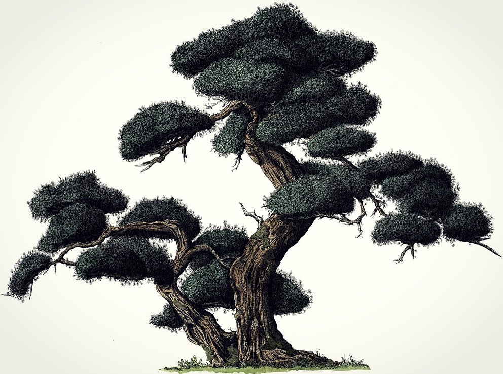 Disukai RM BTS Ilustrator Asli Our Beloved Summer alacasa 5