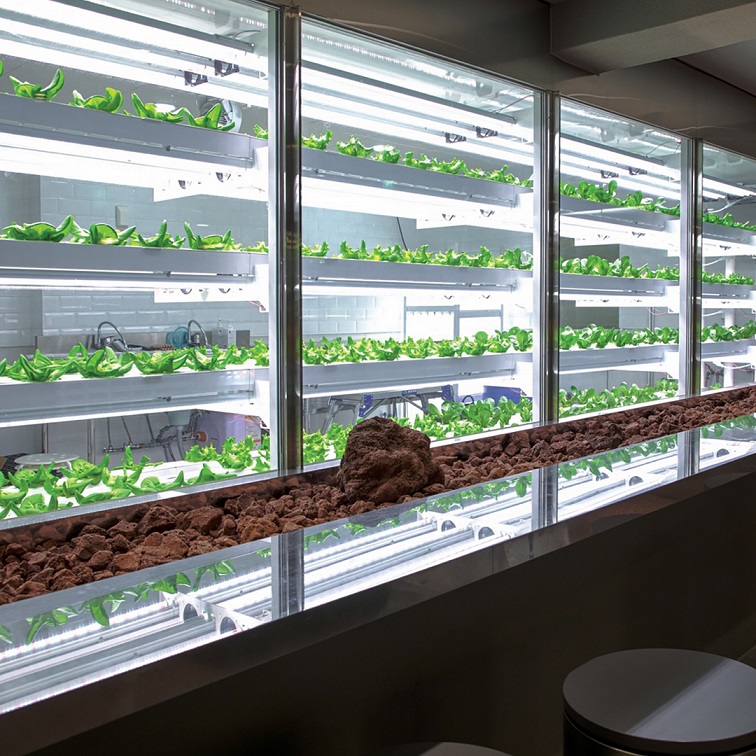 Ada di Korea Selatan, Cafe Serbaguna yang Edukatif!