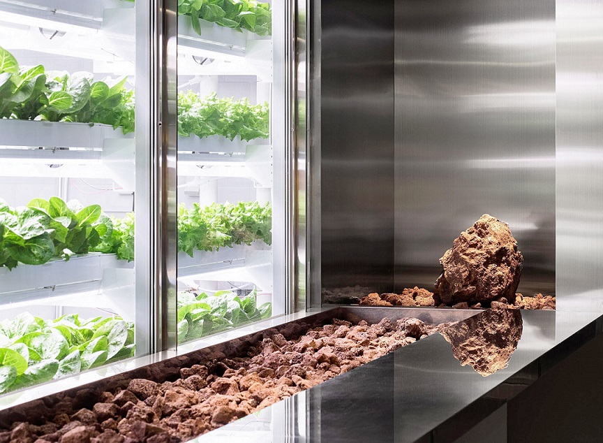 Ada di Korea Selatan, Cafe Serbaguna yang Edukatif!