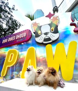 Acara Seru Untuk Pecinta Anjing di Central Park