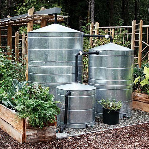 Mengenal Rainwater Harvesting: Buat Air Hujan Berguna