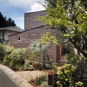 Purr-fect Haven: Rumah Jepang Impian Kucing