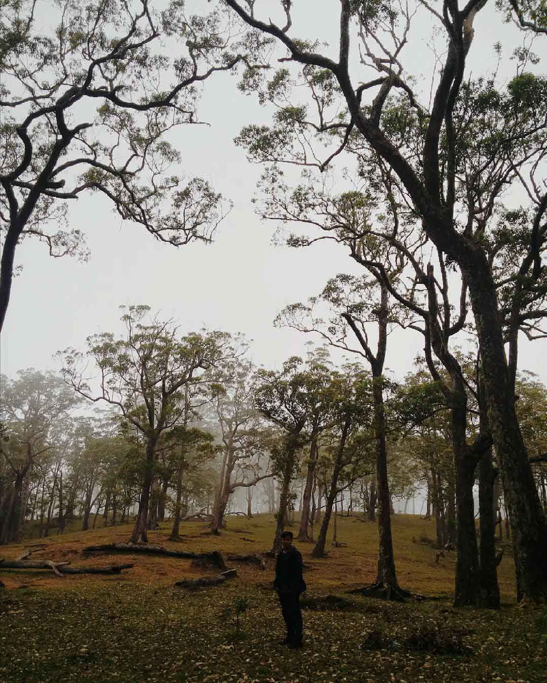 Keren banget! 30 Tempat Instagrammable di Indonesia