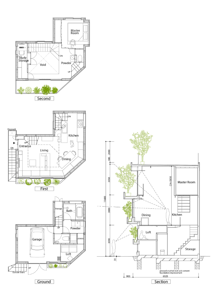 Denah rumah minimalis dengan banyak bukaan jendela Ovule