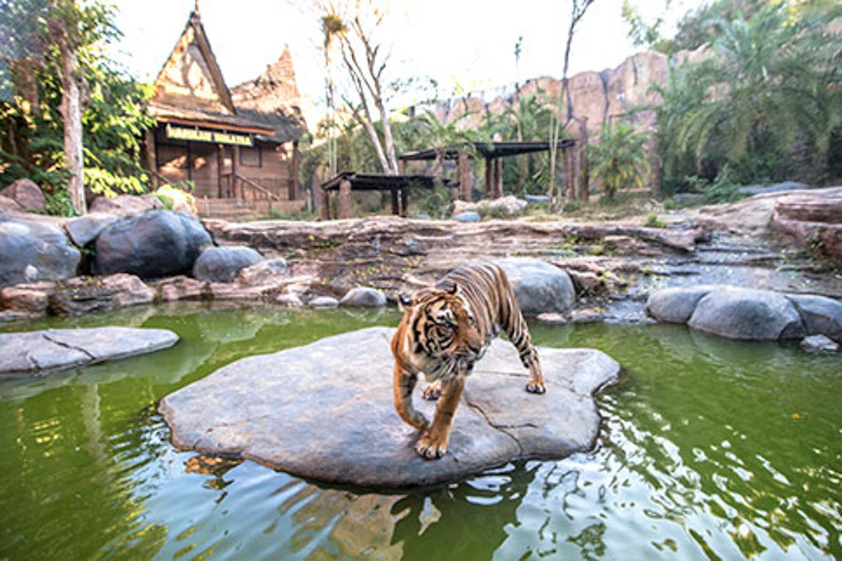 9 Destinasi Wisata di Malang yang Wajib Anda Kunjungi!