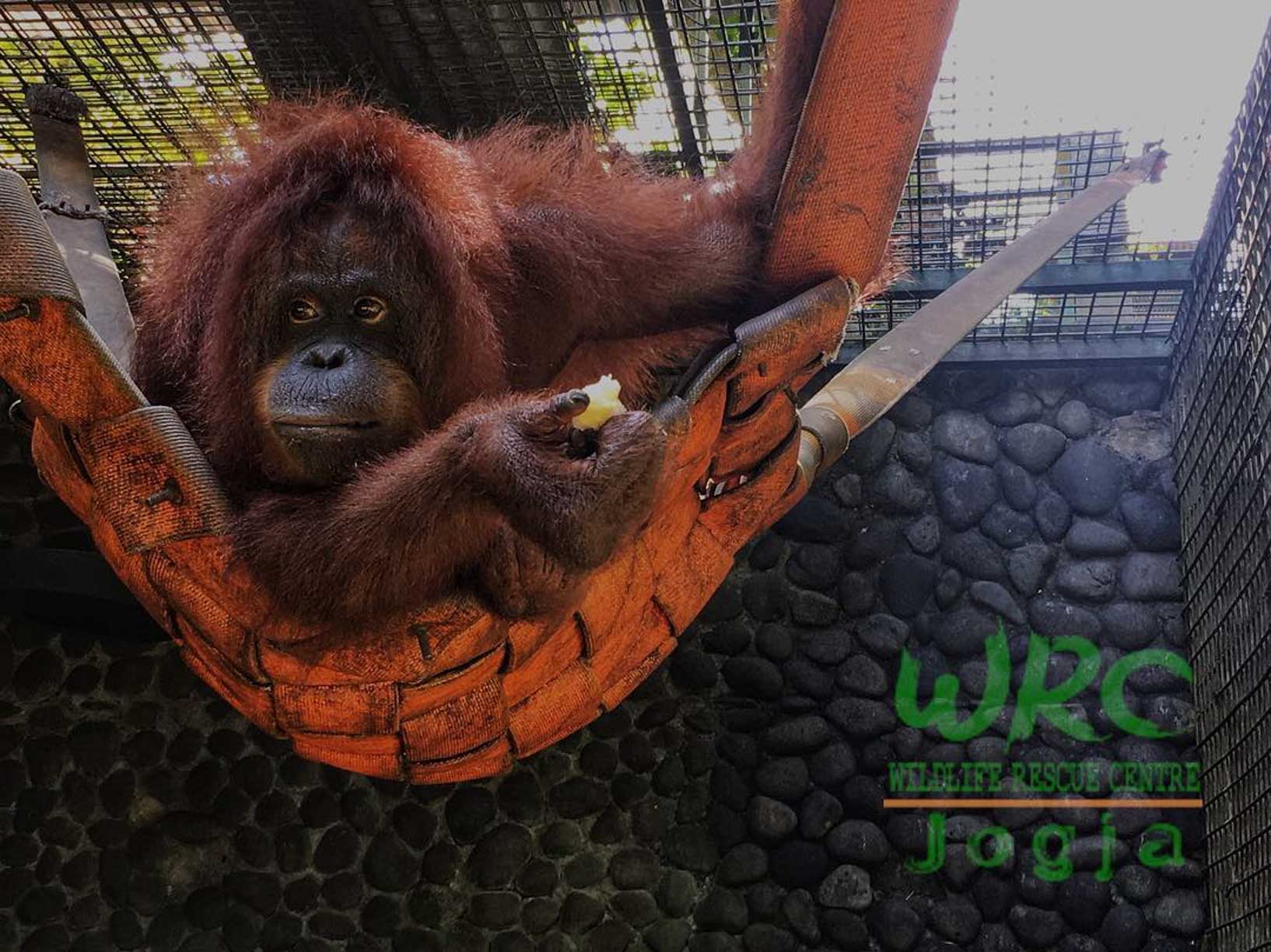 10 Tempat Wisata Bersama Anak di Yogyakarta