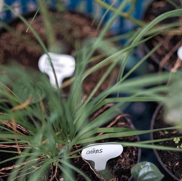 Cafe Baru Ecaps Jakarta CASA Indonesia