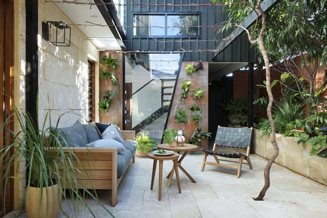 17 Trik Menghadirkan Taman Indoor Pada Rumah