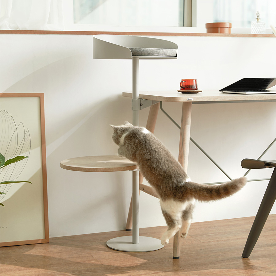 Pencinta Kucing Pasti Suka Perabot Pilihan Gong Yoo Ini / Iloom 1