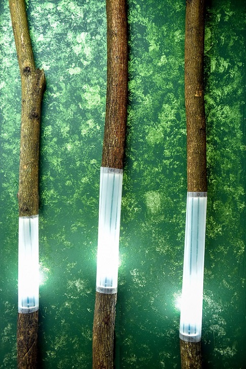 Inspirasi Dekorasi Interior Secara DIY