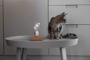 5 Produk ini Bikin Tamu Terpesona Saat Masuk ke Rumah