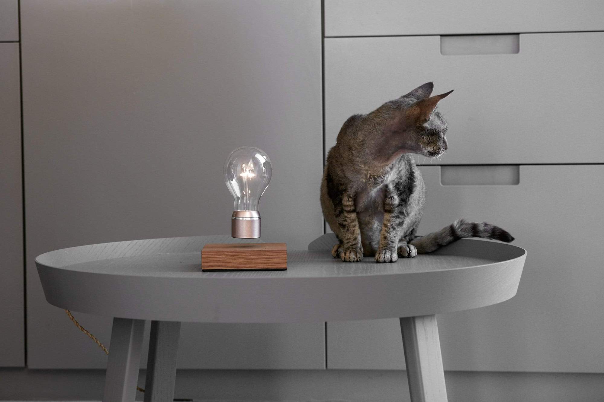 5 Produk ini Bikin Tamu Terpesona Saat Masuk ke Rumah