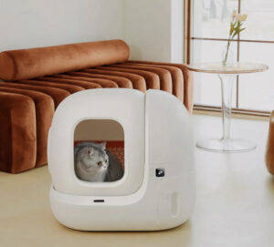 3 Alat Canggih Buat Peliharaan Saat Ditinggal di Rumah