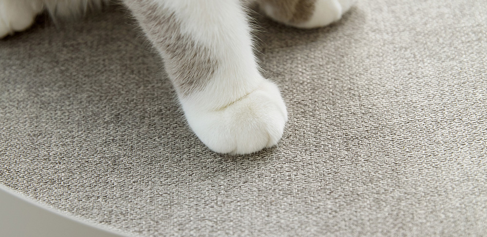 Pencinta Kucing Pasti Suka Perabot Pilihan Gong Yoo Ini / Iloom 7