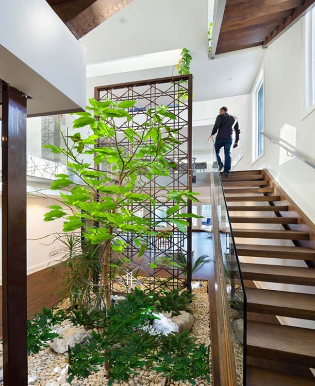 17 Trik Menghadirkan Taman Indoor Pada Rumah