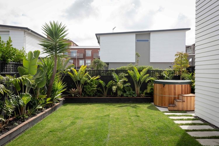 Pakai 6 Jenis Tanaman Ini Buat Halaman Rumah Semakin Estetik