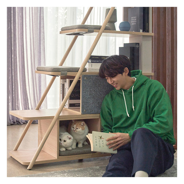 Pencinta Kucing Pasti Suka Perabot Aktor Korea Gong Yoo / Iloom 10