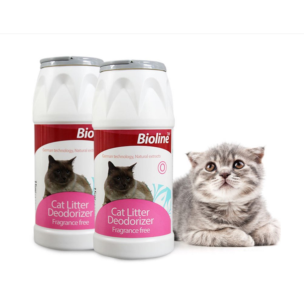 Tahu 3 Hal Ini Dahulu Sebelum Adopsi Kucing Peliharaan 3