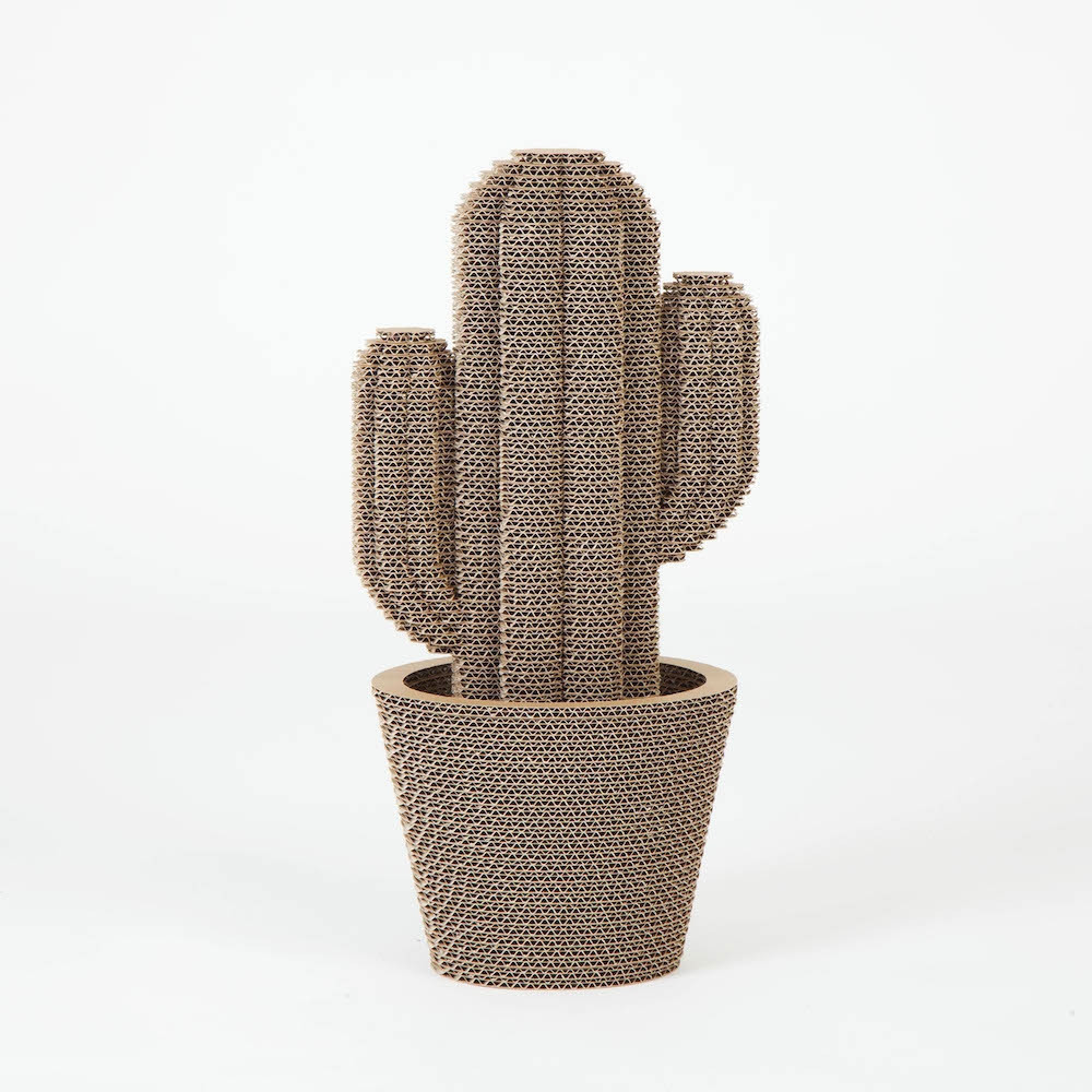 Ayo Sehat! Berantas Corona di Rumah Sehat dengan 10 Tahap Ini