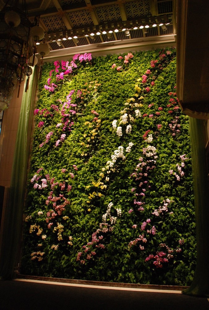 17 Trik Menghadirkan Taman Indoor Pada Rumah