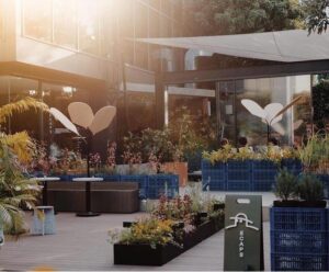 Tempat Hangout Baru di Kemang yang Cinta Bumi dan Keren