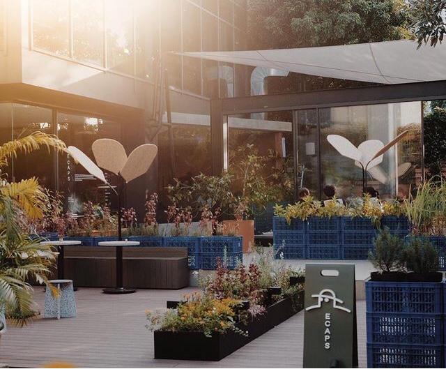 Tempat Hangout Baru di Kemang yang Cinta Bumi dan Keren