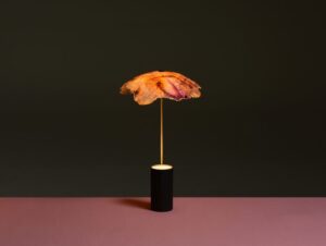 Super Unik: Kap Lampu ini dari Sayur Kubis!