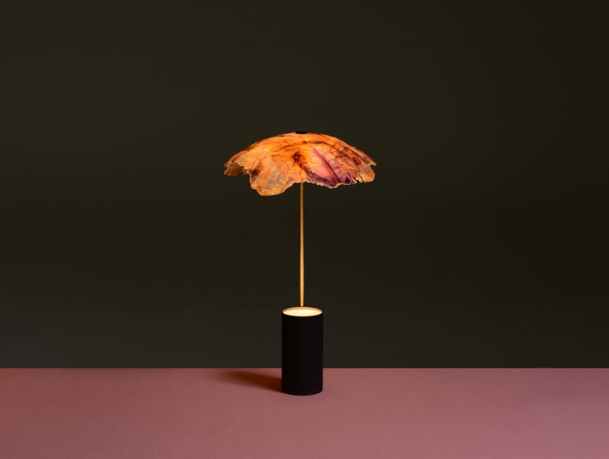 Super Unik: Kap Lampu ini dari Sayur Kubis!