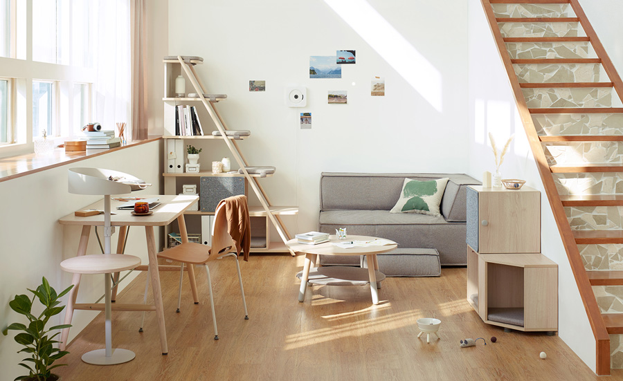 Pencinta Kucing Pasti Suka Perabot Pilihan Gong Yoo Ini / Iloom 8