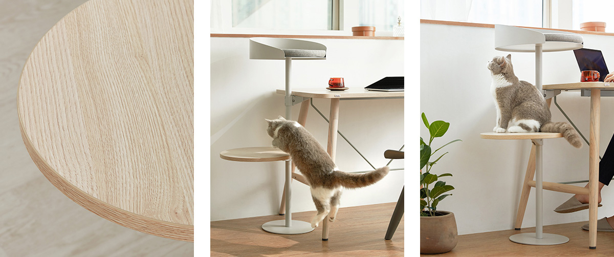 Pencinta Kucing Pasti Suka Perabot Pilihan Gong Yoo Ini / Iloom 6