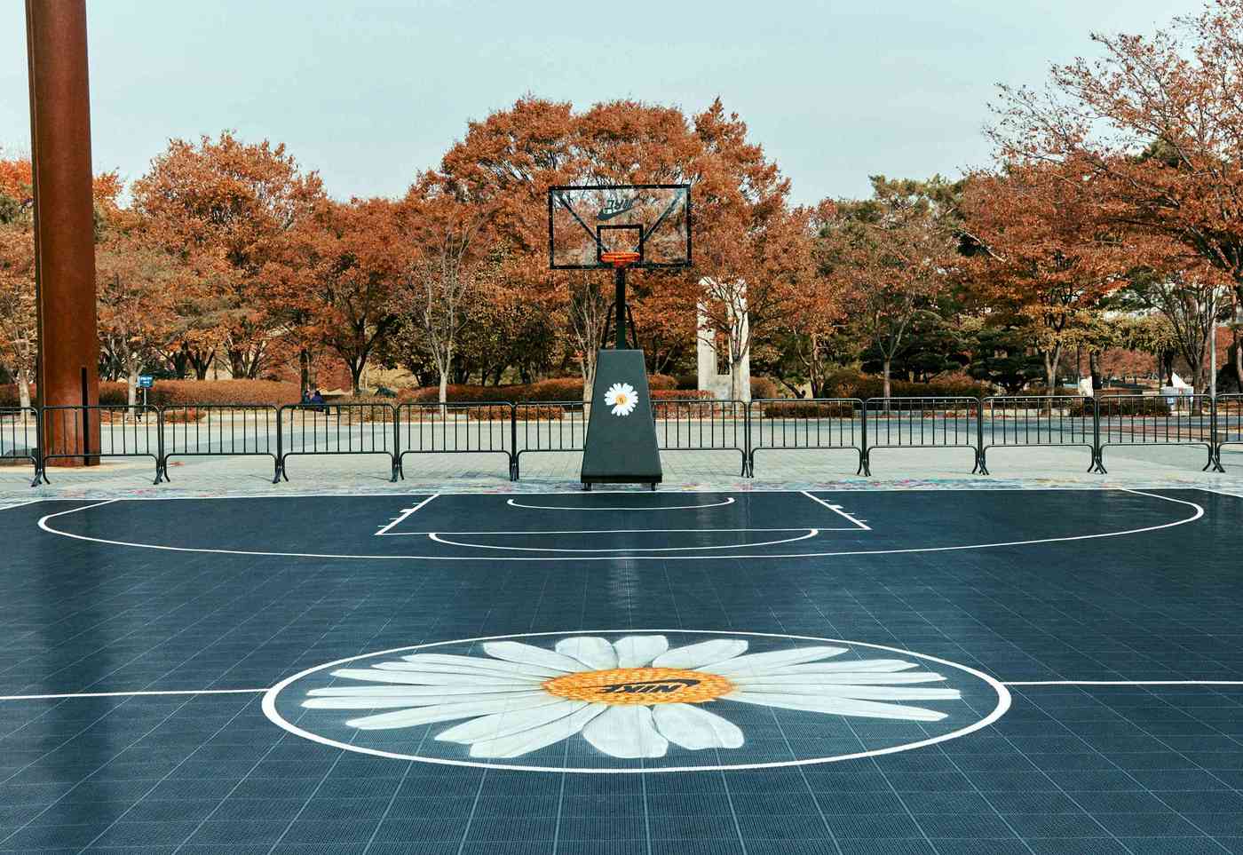 Tampak lebih dekat akan bunga daisy di tengah lapangan