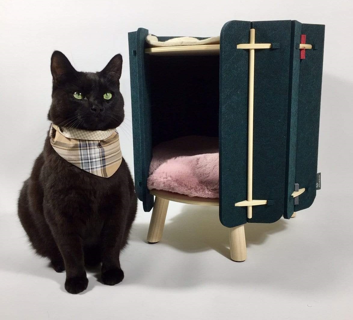 3 Barang Lucu Biar Kucing Jadi Happy di Rumah