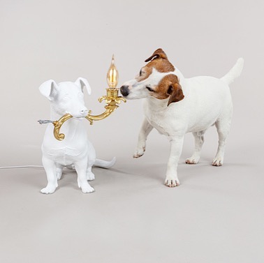 Anti Stres! 8 Barang Unik ini Bisa Buat Hati Senang