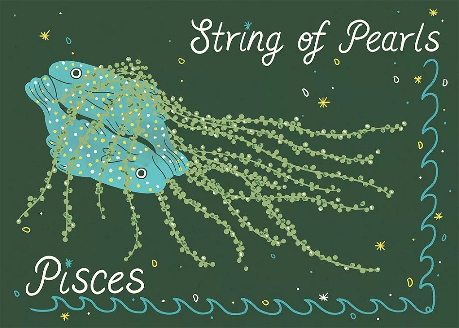 Tanaman Rumah yang Cocok dengan Zodiak Anda? Simak!