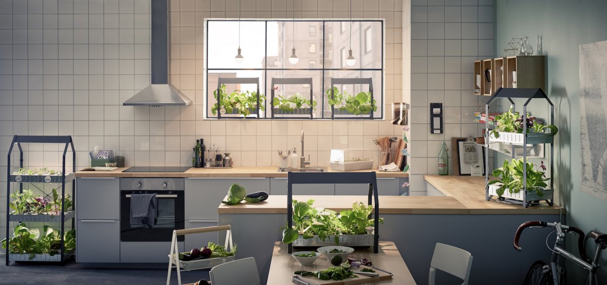 Hydroponic gardening kit oleh Ikea / Ikea