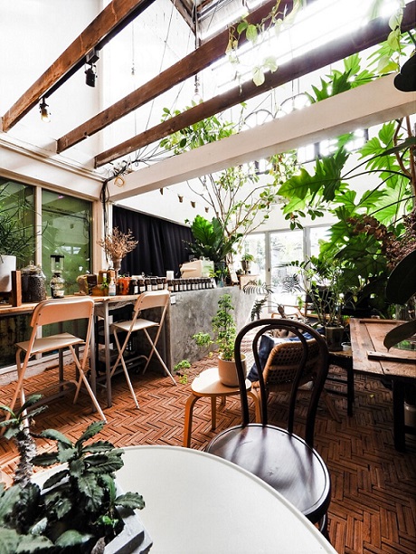 Hutan di Dalam Cafe? Simak Ini! CASA Indonesia